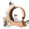 Cat Sports Running Wheel, Cats Wheel Wood Climbing Frame, Cat Litter Fitness Wheel, Oversized Roller Cat Indoor Activity Center,Large(Right)