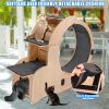 Cat Sports Running Wheel, Cats Wheel Wood Climbing Frame, Cat Litter Fitness Wheel, Oversized Roller Cat Indoor Activity Center,Large