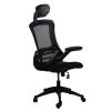 Techni Mobili Modern High-Back Mesh Executive Office Chair with Headrest and Flip-Up Arms; Black